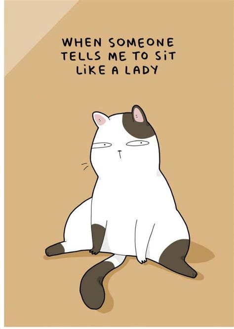 When Someone Tells Me To Sit Like A Lady Cute Cats Funny Cats Funny