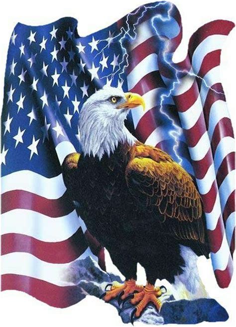 Free Clipart American Flag And Eagle 20 Free Cliparts