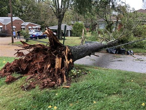 Storm Damage In The Charlotte Area From Tropical Storm Zeta | PHOTOS ...