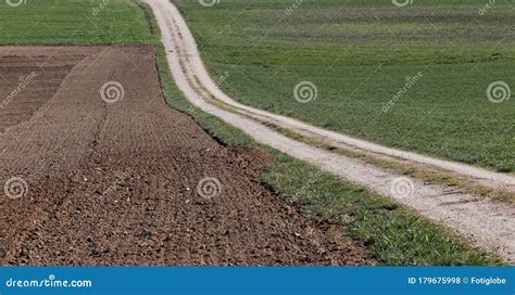 Gravel Or Country Road Through Prepared Farmland And Grass Field Stock