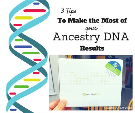 Compare 2021's most popular dna ancestry tests. 3 Tips for Making the Most of Your Ancestry DNA results ...