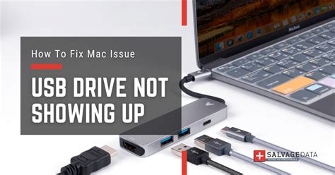How To Fix Usb Drive Not Showing Up On Mac Salvagedata