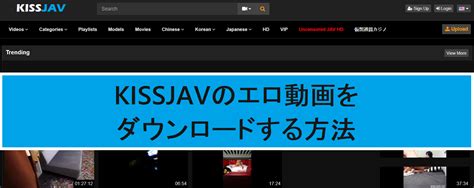 kissjavのエロ動画をダウンロードする方法 いつか役に立つiPhonedvdbd相関知識 DVDBDコピー変換リッピング方法