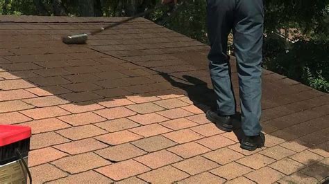 How To Paint Roof Shingles New Product Opinions Discounts And