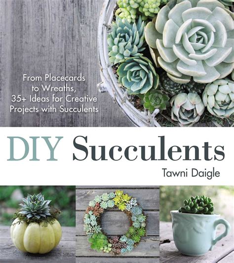 Diy Succulents Ebook By Tawni Daigle Official Publisher Page Simon