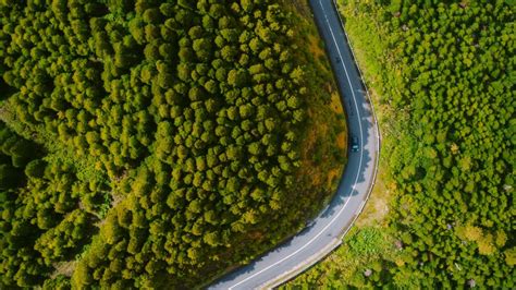 Aerial View Of Road Green Trees Forest Hd Nature Wallpapers Hd