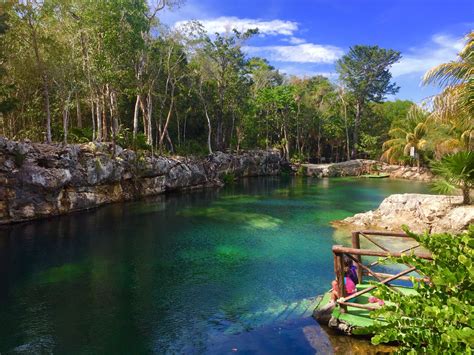 Cenote Casa Tortuga Tulum Quintana Roo Paisajes Viajes Cultura