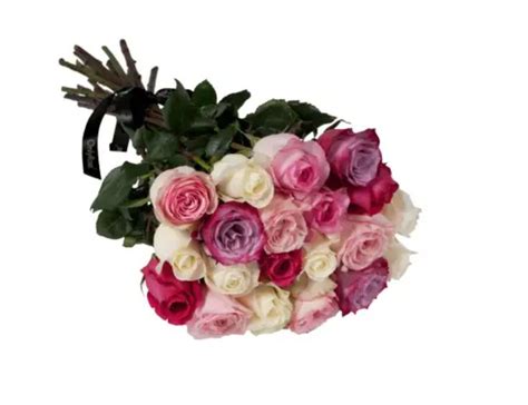 Classic Rose Stems Beverly Hills Onlyroses Rose Stem Mothers Day