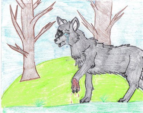 Hurt Wolf By Mysterywolf17 On Deviantart