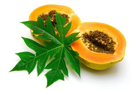 Papaya Health Benefits Ayurveda Papaya Recommendations Curejoy Papaya Health Benefits