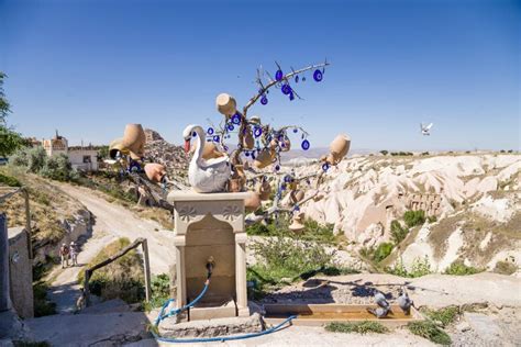 Cappadocia Turkey Wish Tree With A Fountain In The Background Pigeon