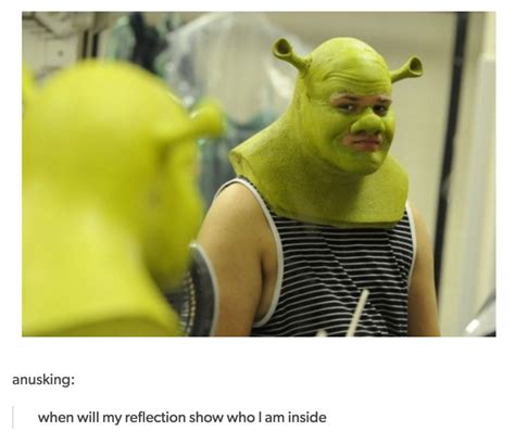 Literally Just 24 Shrek Posts That No One Ever Asked For Shrek Shrek Memes Stupid Funny Memes