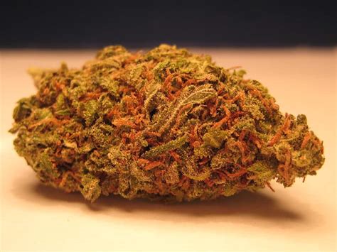 Green Crack Weed Strain Review And Information