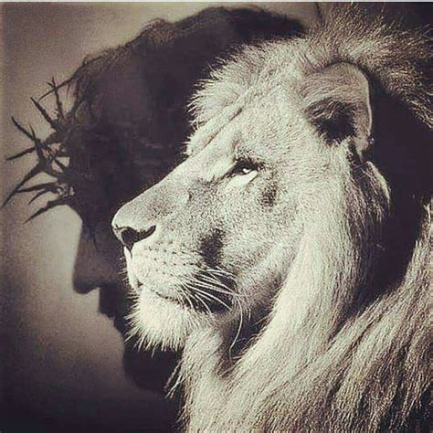 El León De Juda Lion Of Judah Jesus King Jesus Jesus Drawings Jesus