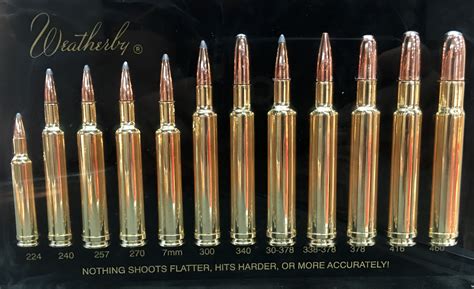 Flat Hard Hitting And Accurate Weatherby Releases 65 300