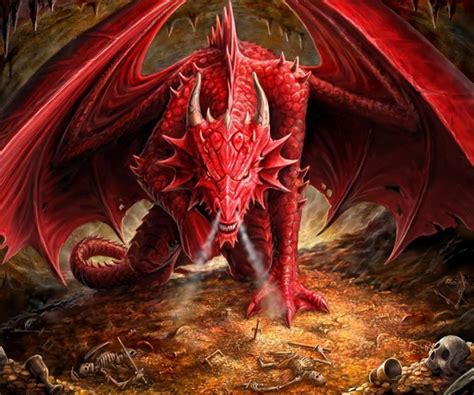 3d Dragon Wallpapers Free Download Wallpapers Hd For Mac Dragon 3d