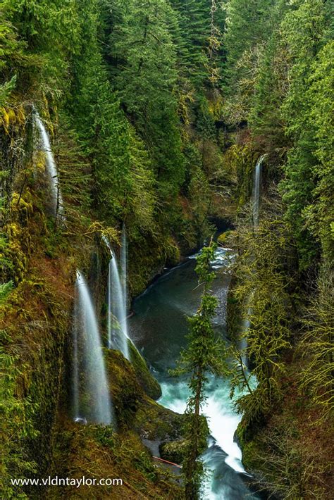 Hidden Jewel Oregon Waterfalls Oregon Travel Oregon Vacation