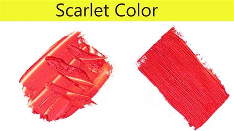 Scarlet Color How To Make Scarlet Color Color Mixing Youtube