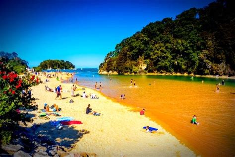 New Zealands 8 Best Beaches New Zealand Travel New Zealand New