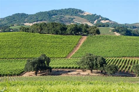 Where To Go Wine Tasting In Sonoma Valley Go Travel California