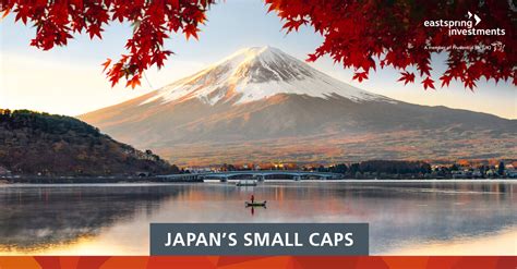 Japan S Small To Mid Cap Universe Of Mispriced Opportunities