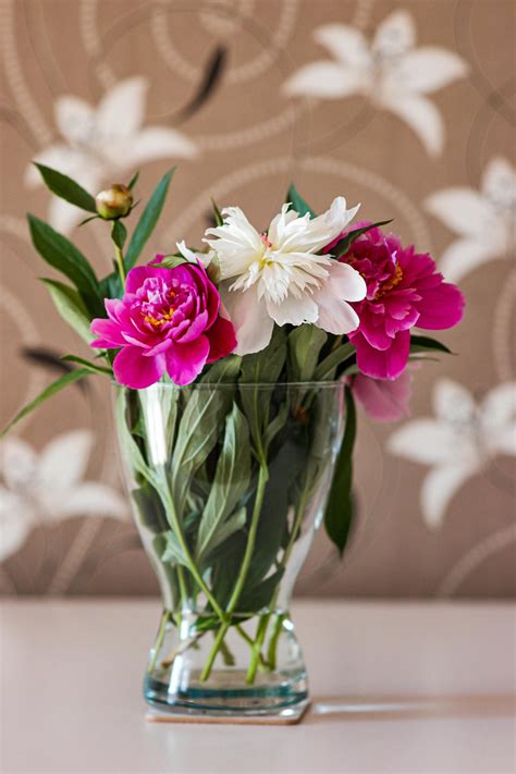 Photo Of Flowers On Vase · Free Stock Photo