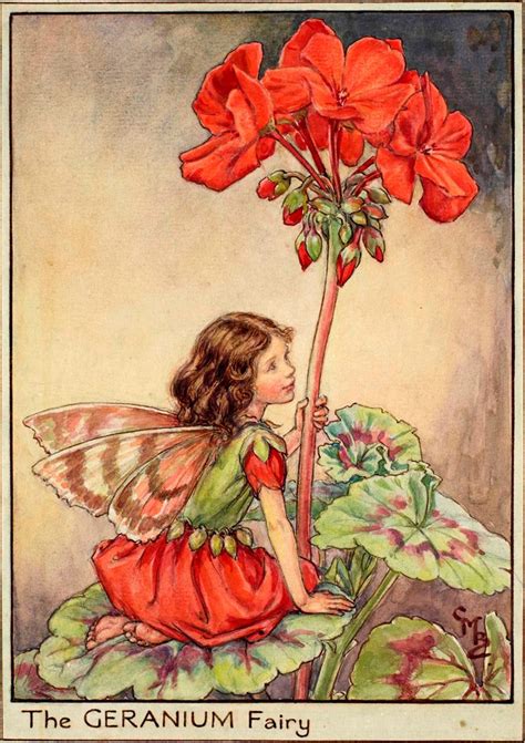 The Geranium Fairy Flower Fairies