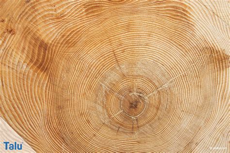 Hirnholzbretter sind ein gern gesehenes geschenk. Anelitung Hirnholzbretter : Parador Laminatboden Classic 1050 Eiche Hirnholz Gerauchert ...