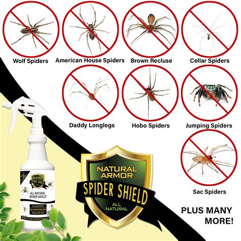 Natural Armor Spider Killer And Repellent Spray Powerful Peppermint
