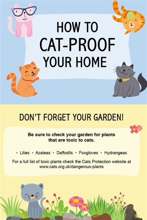 Check Out Our Tips On How You Can Create A Feline Friendly Home In 2021