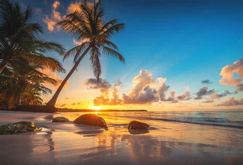 Tropical Beach And Beautiful Sunrise View In Punta Cana Bay Dominican