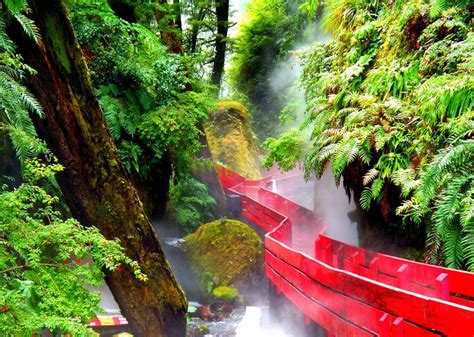Termas Geometricas The Hot Springs In Villarrica Chile