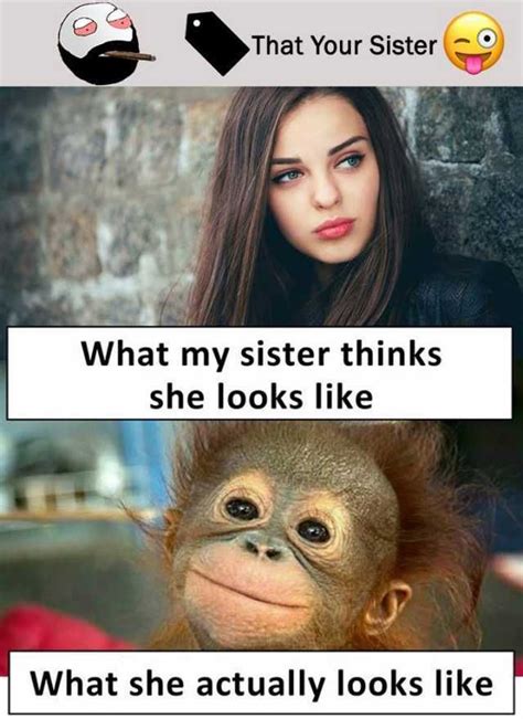 30 totally funny sister memes we can all relate to funny sister memes