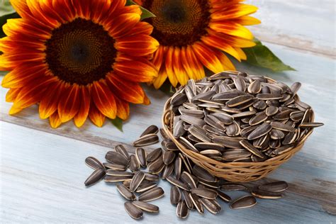 Sunflower Seeds Benefits And Nutrients