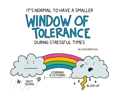 Window Of Tolerance For Kids