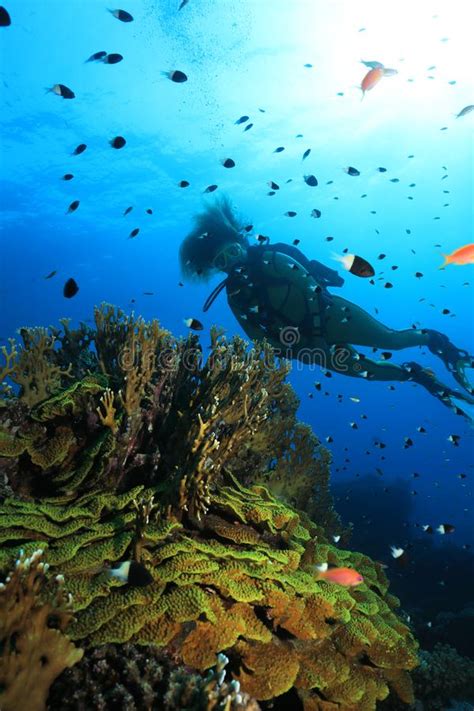 Arrecife De Coral Tropical Y Buceo Submarino Fotografía editorial