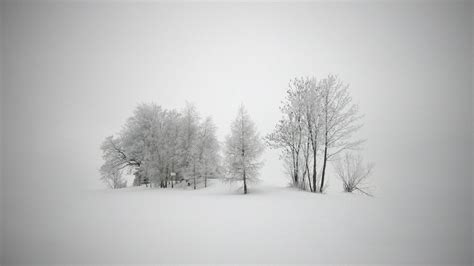 1920x1080 1920x1080 Blizzard Trees Wallpaper Snow Landscapes
