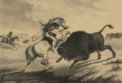 The Last Cincinnati Buffalo Hunt