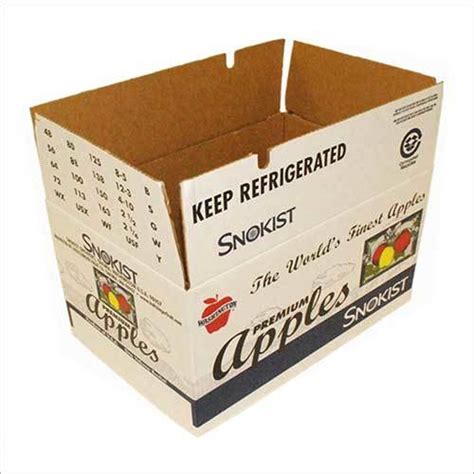 Corrugated Fruits Packaging Box At Best Price In Sonipat Spl