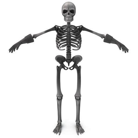 Cartoon Skeleton 2 Max