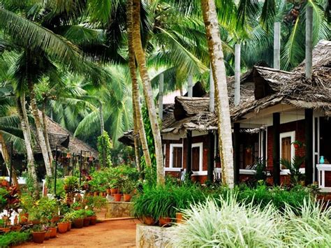 Top 5 Ayurvedic Resorts In Kerala Kerala Backwaters Blog
