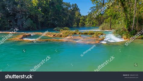 Panorama Tropical Rainforest Agua Azul Cascades Stock Photo 1686451225