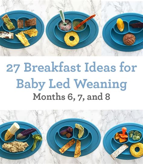 You want foods to be finger sized so they are large enough that baby can't force the whole piece into their mouth, and a shape that's easy for a 6 month old to hold with their chubby little hands. breakfast ideas for baby led weaning (6 to 9 months ...