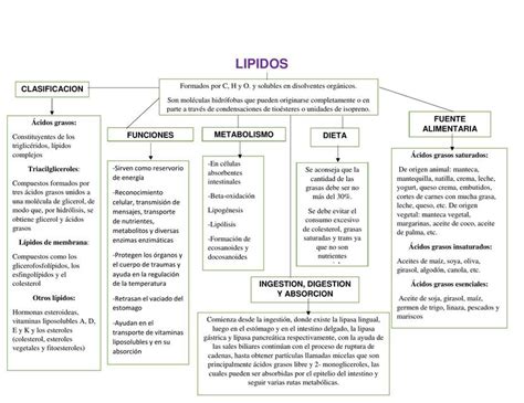 Top Imagen L Pidos Mapa Mental Viaterra Mx