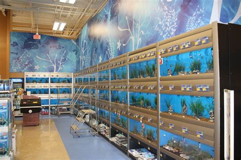 Fish Wall Petsmart Office Photo Glassdoor