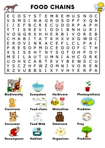 Food Chains Word Search Activity Teaching Resources