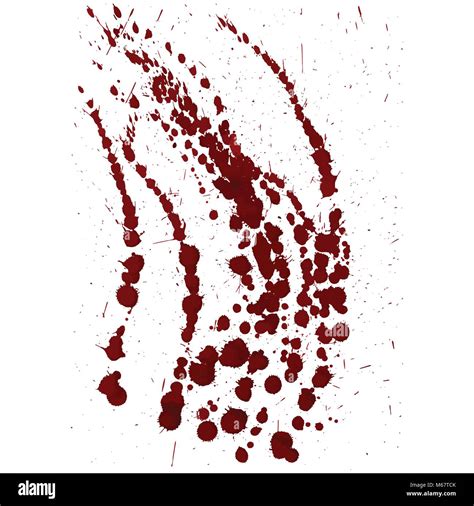 Splattered Blood Stain On White Background Vector Stock Vector Image