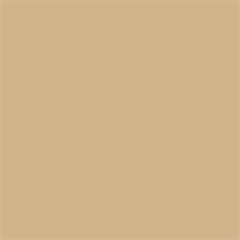 2048x2048 Tan Solid Color Background