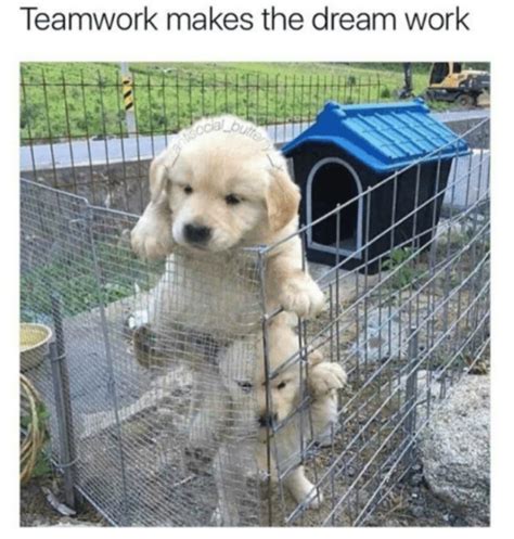 I just shrug and say yeah, he's cute i guess. 30 Funny Work Memes for Any Office Situation | Best Life
