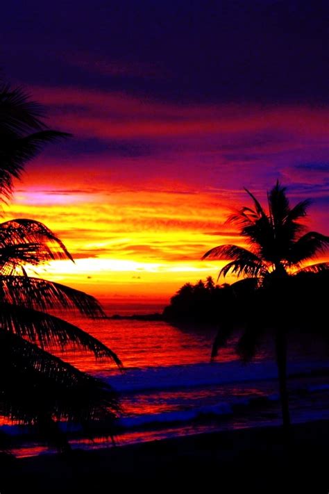 200 Best Tropical Sunsets Images On Pinterest Moonlight Beautiful